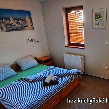 Penzion Sunski Otel Harrachov Dış mekan fotoğraf